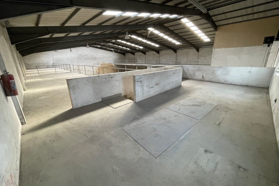 Commercial Property for Sale in Racing Park Western Cape